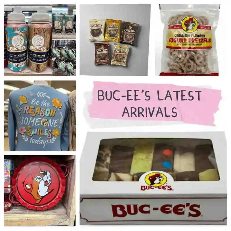 buc ees new 2